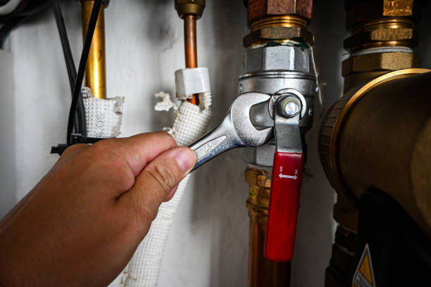 Best Leak Detection Services  in Joplin, MO